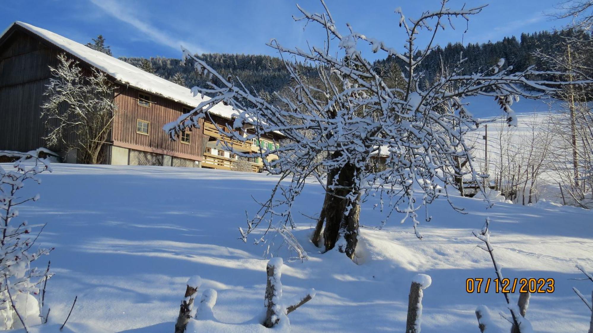 Oberallgaeu 